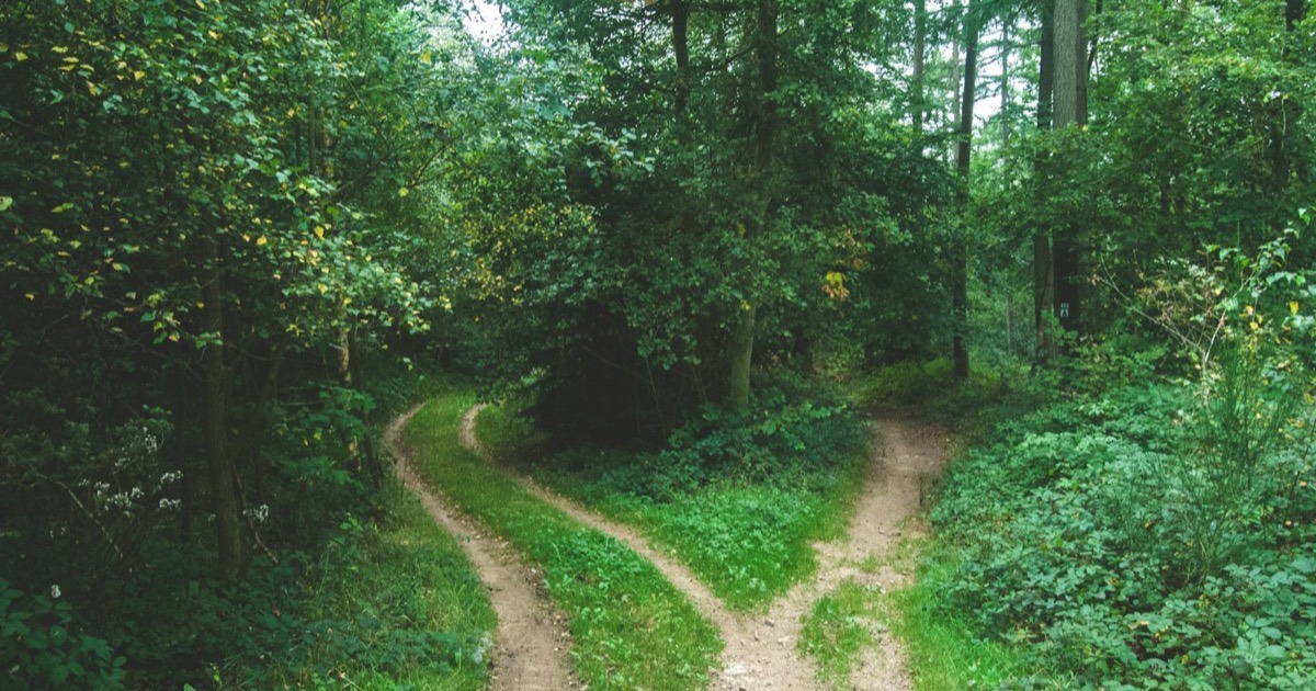 Parallel parenting: a low-contact plan that actually works